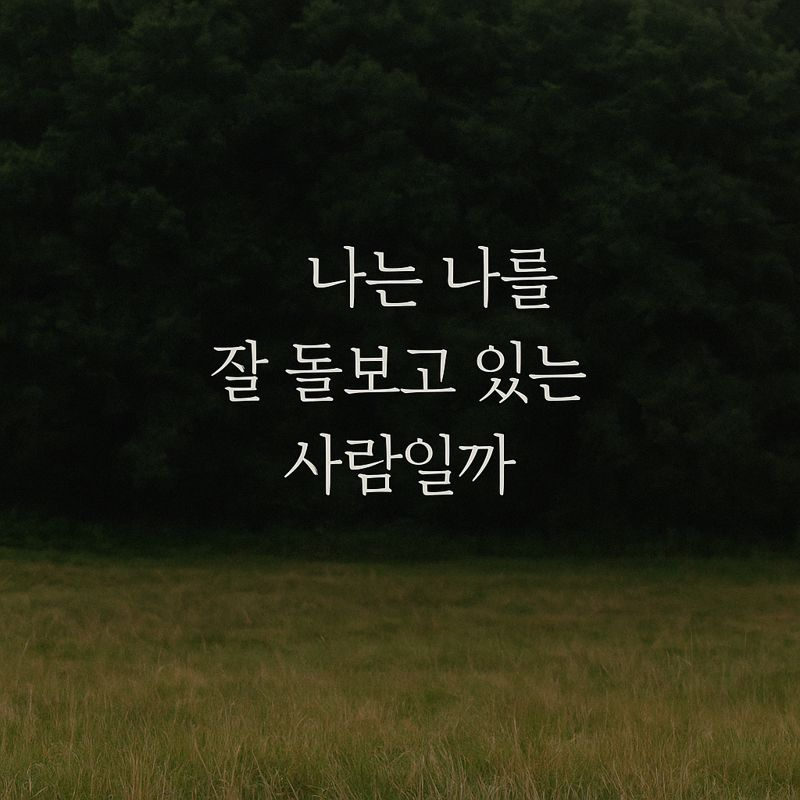 ChatGPT Image 2025년 12월 15일 오후 09_04_16.png