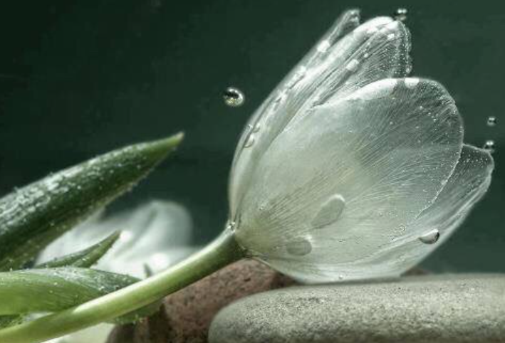 화면 캡처 2023-04-14 202318.png