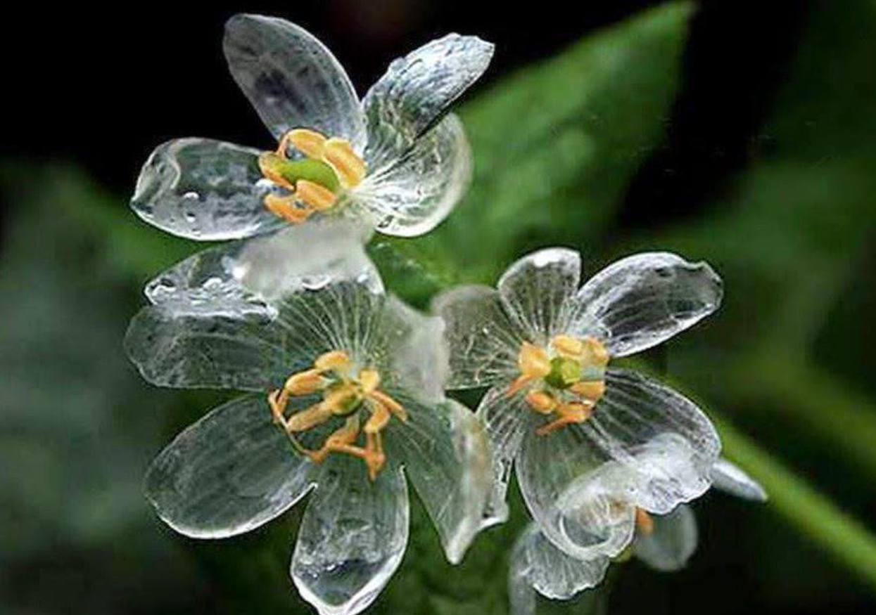 화면 캡처 2023-04-14 201517.png