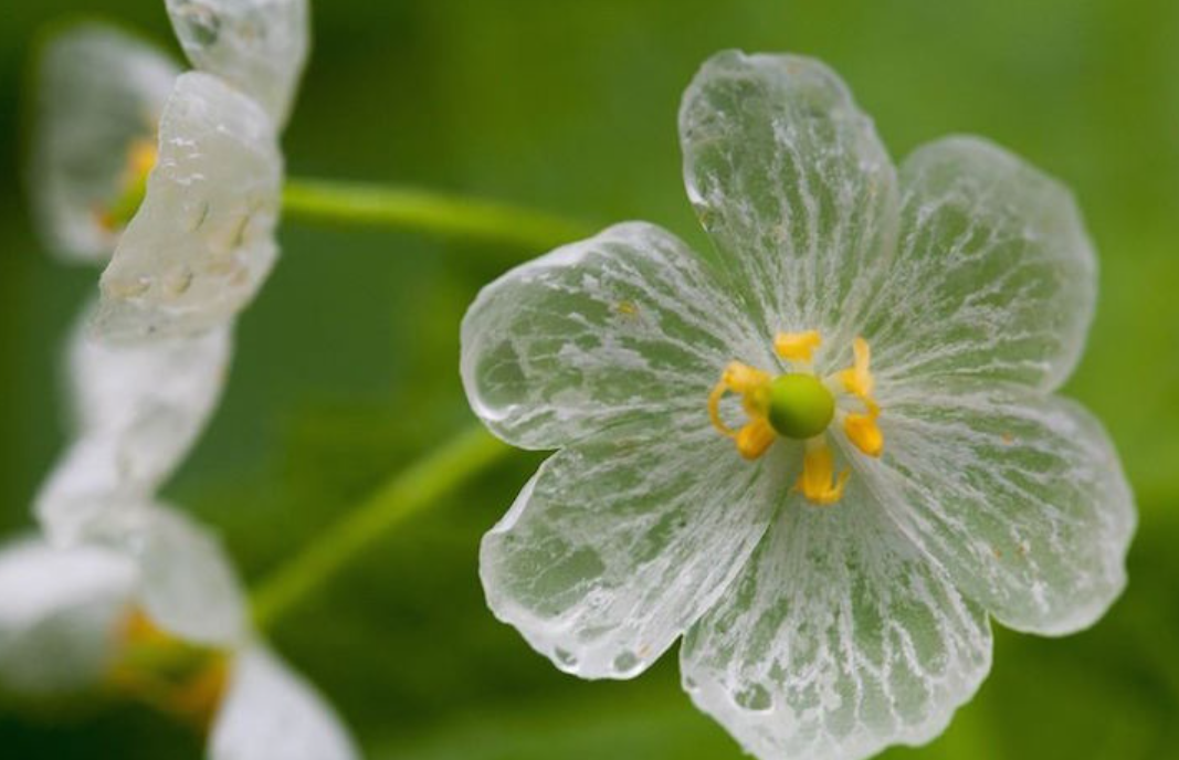 화면 캡처 2023-04-14 202133.png