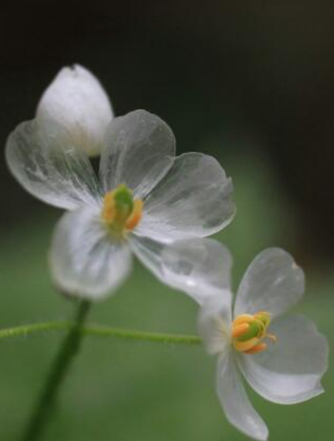 화면 캡처 2023-04-14 201812.png