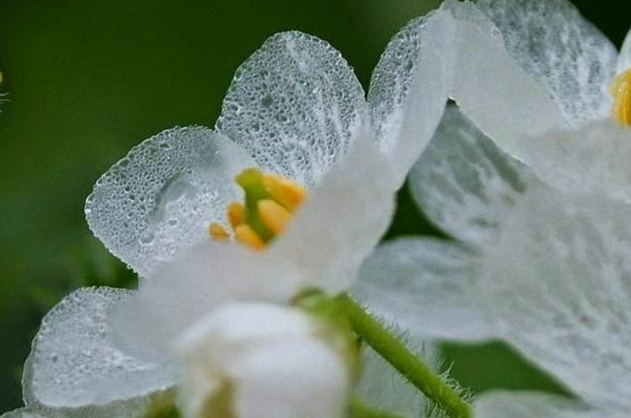 화면 캡처 2023-04-14 202213.png