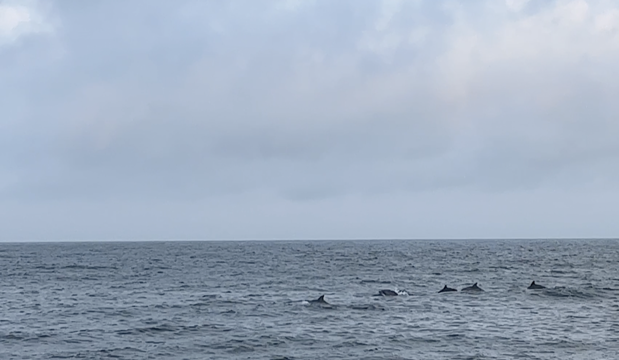 스크린샷 2022-07-10 오후 3.30.45.png