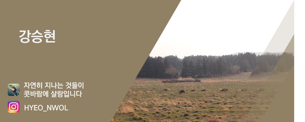 강승현 명함.png