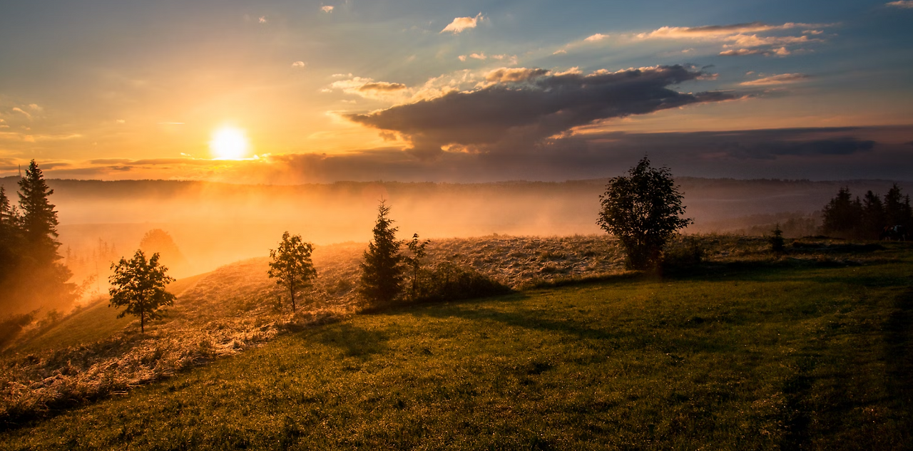 화면 캡처 2025-09-29 114134.png