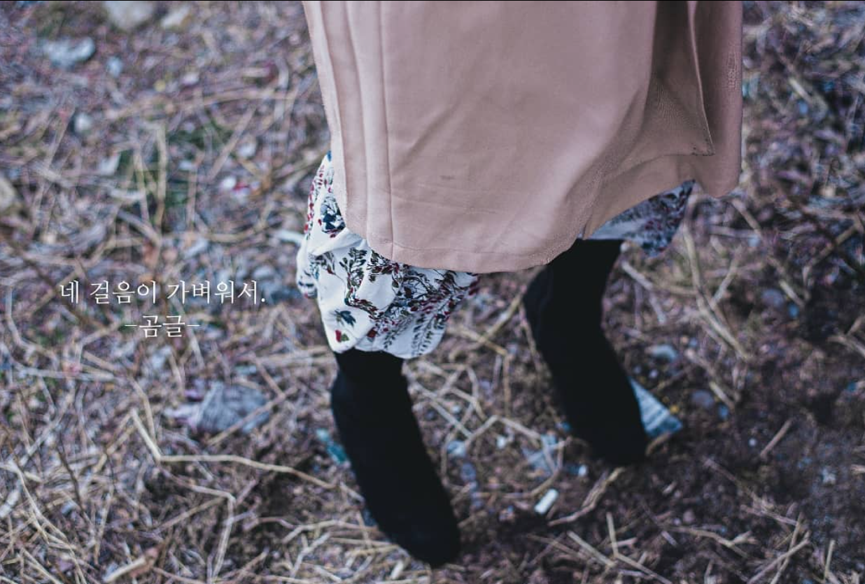 스크린샷 2024-03-31 233027.png