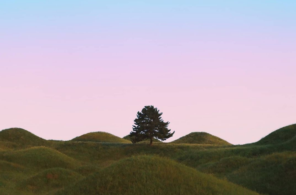 스크린샷 2023-07-09 230743.png