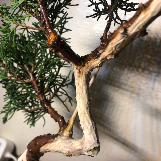 스크린샷 2023-07-21 오후 9.11.10.png