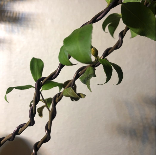 스크린샷 2023-07-21 오후 9.10.59.png