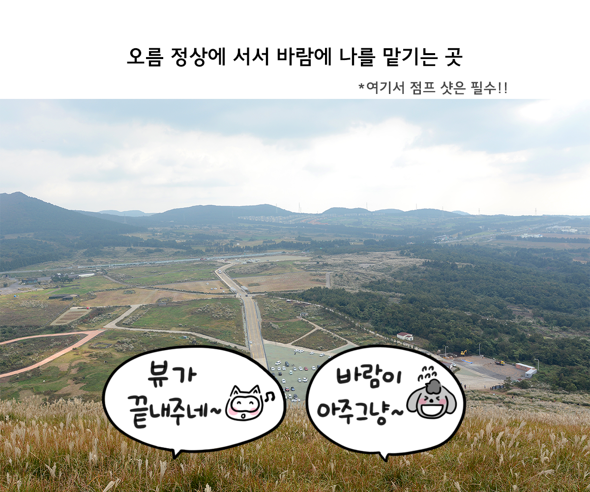 제주니까 8화_12.png