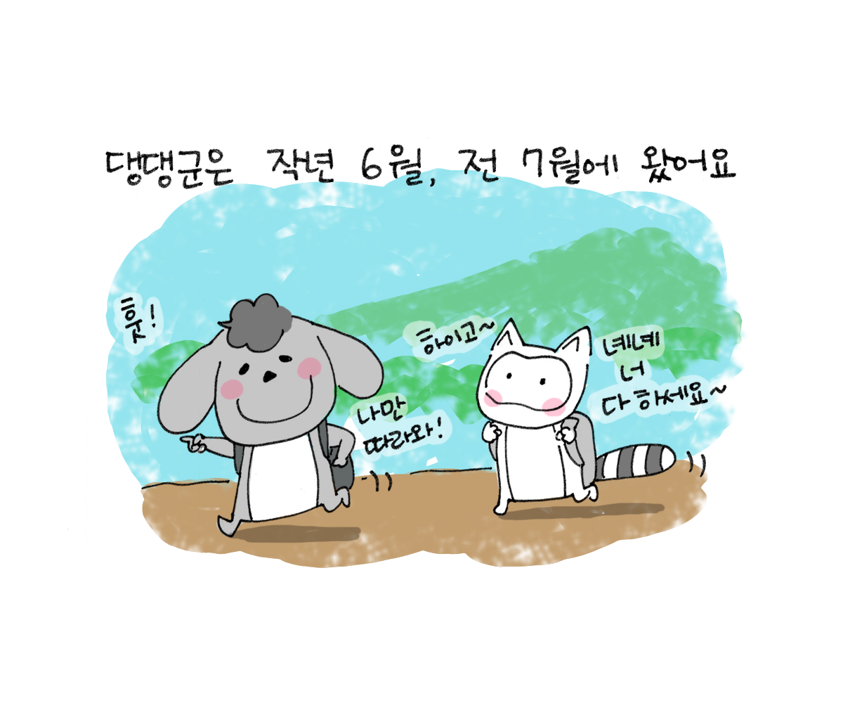 제주니까 1화_17.png