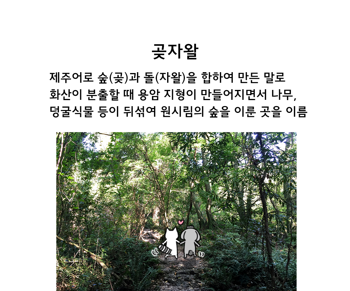 제주니까 8화_20.png