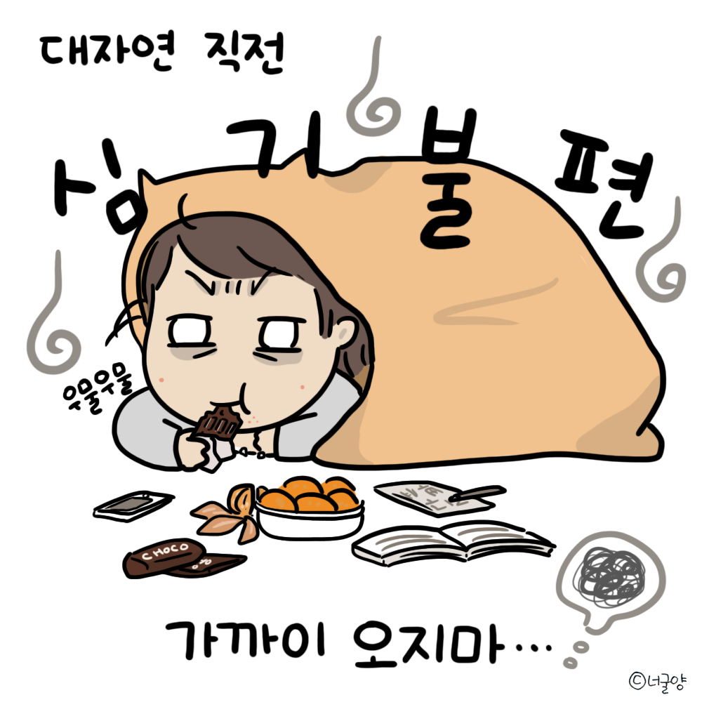 너굴양 그림일기 20180206.png