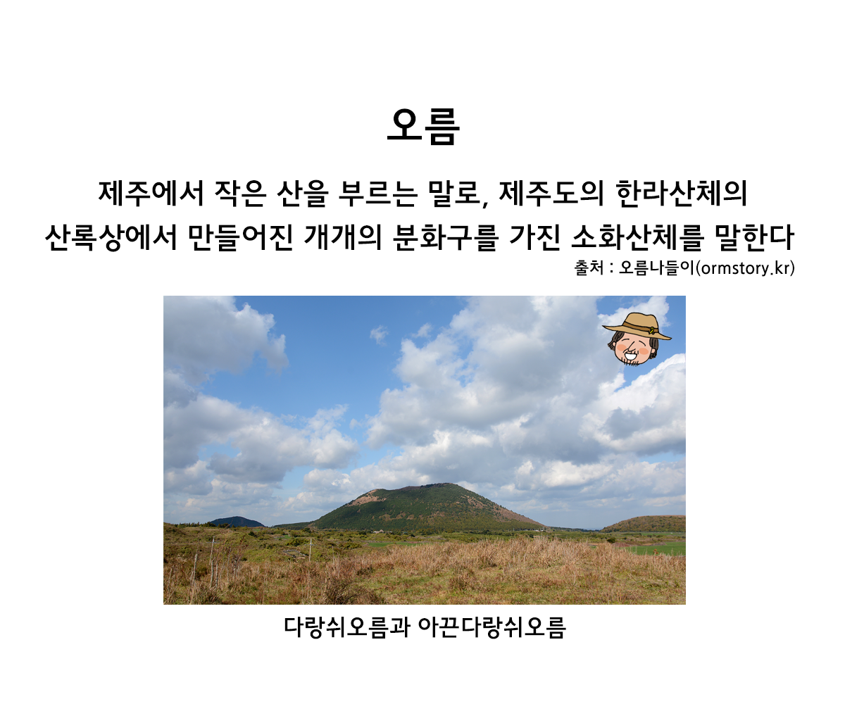 제주니까 6화_22.png