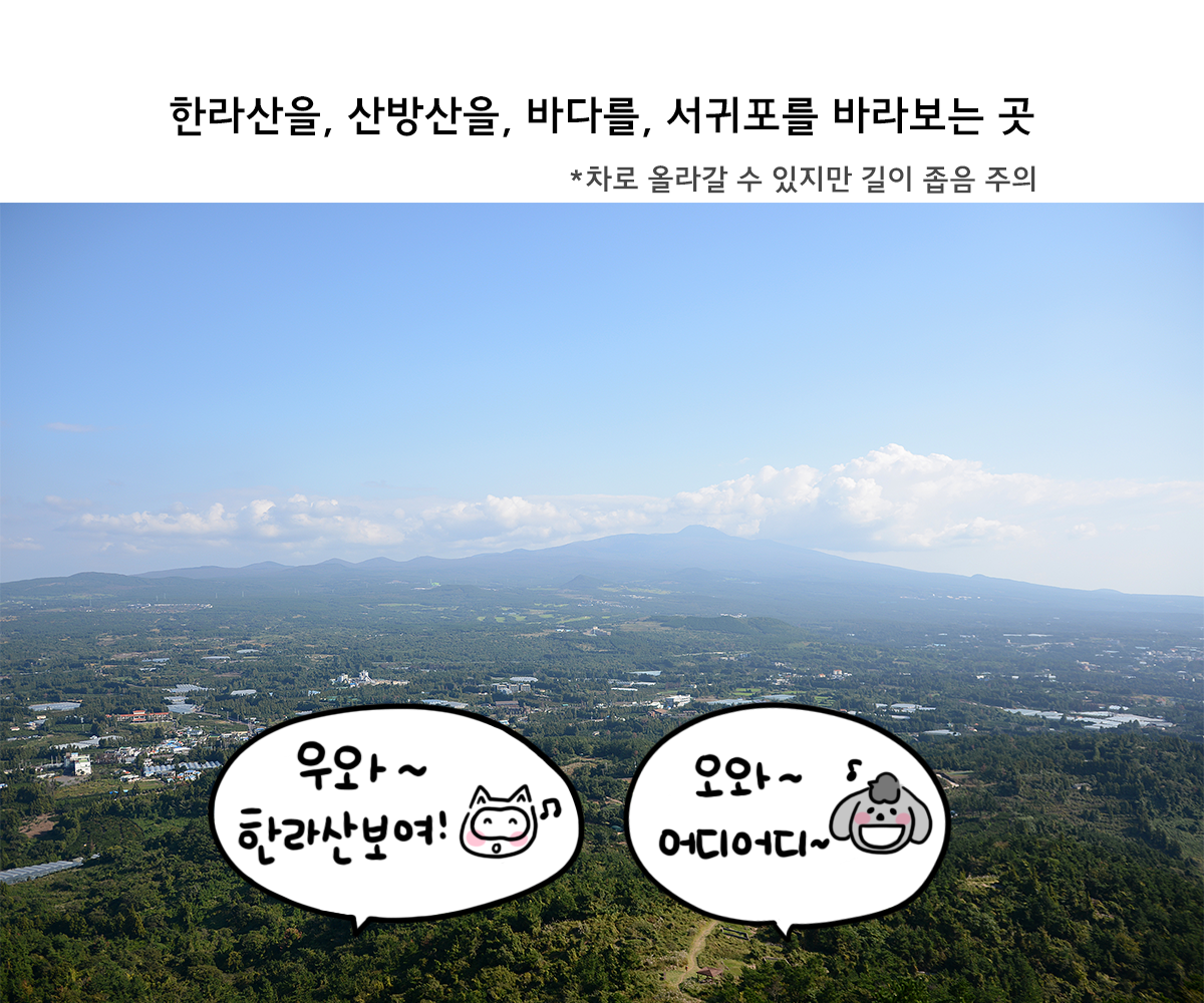 제주니까 8화_8.png