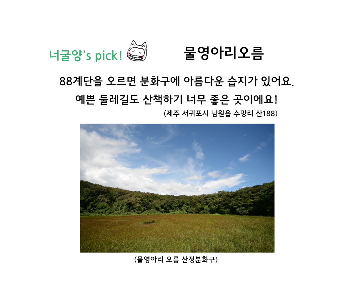 제주니까 6화_24.png