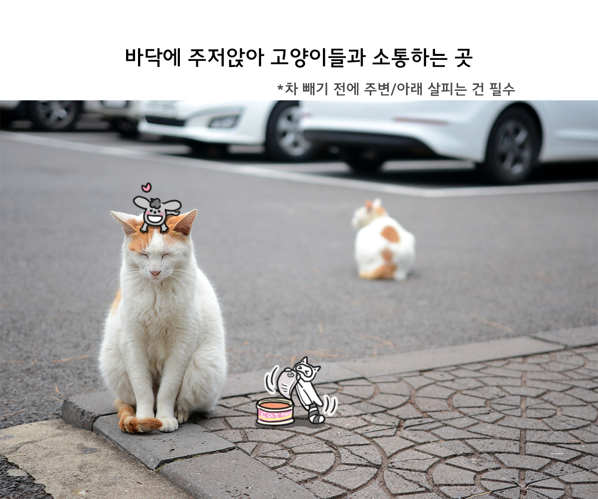 제주니까 8화_16.png