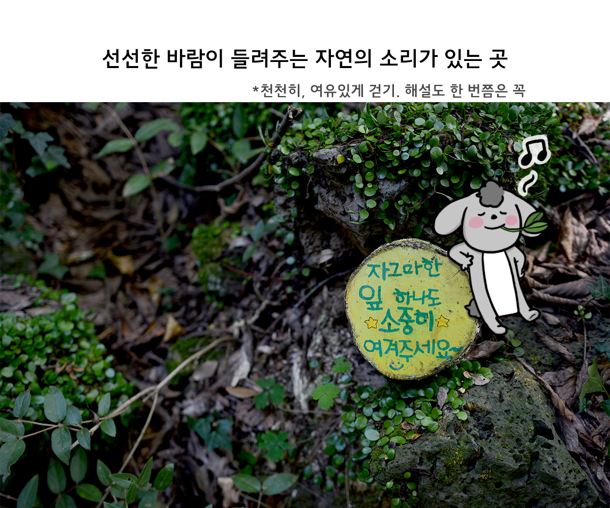 제주니까 8화_14.png