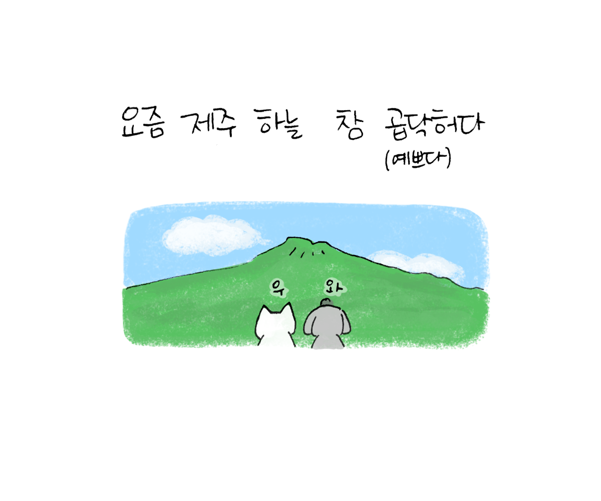 너굴양 그림일기 20180713_1.png
