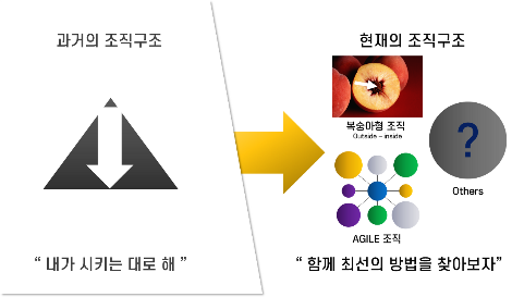 조직구조.png