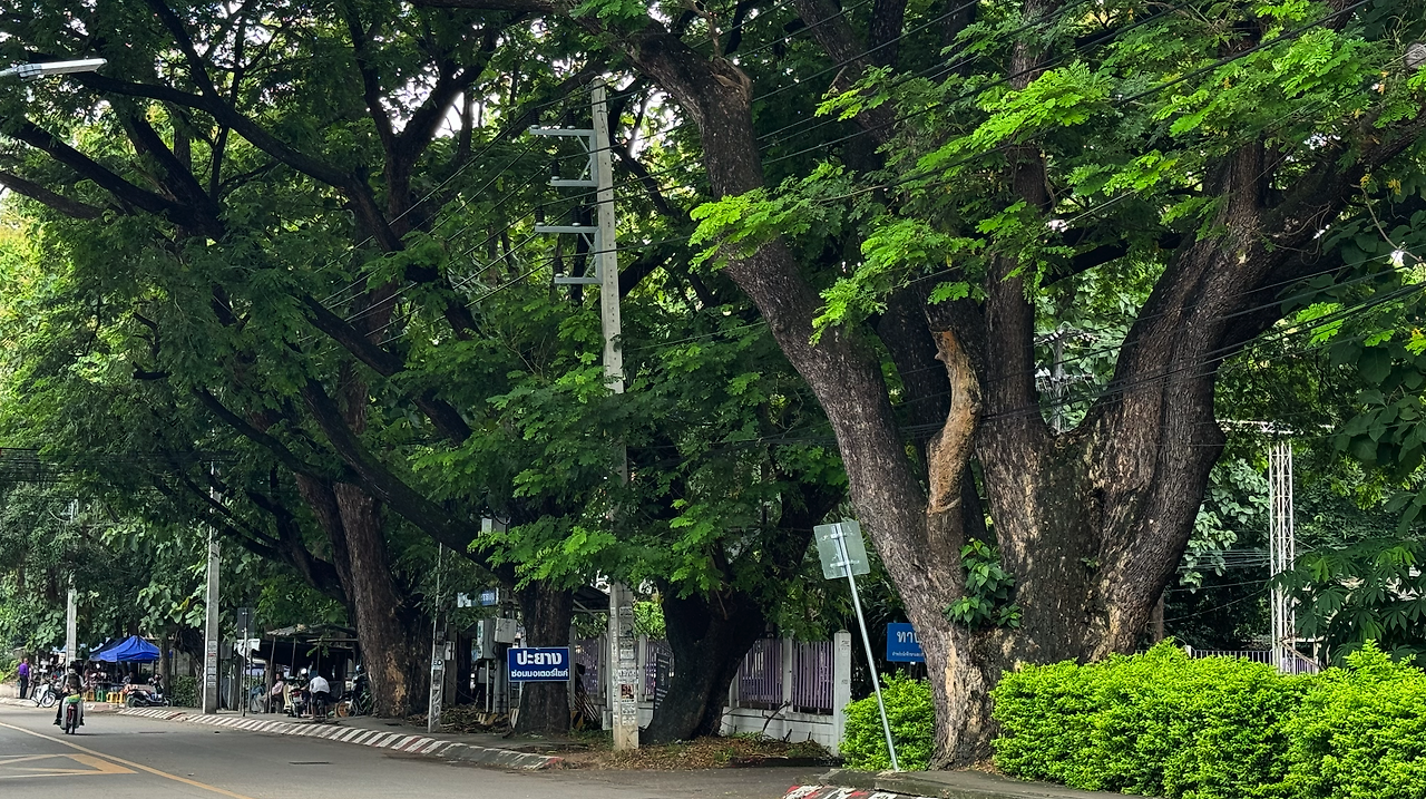 스크린샷 2025-01-24 오후 5.55.40.png