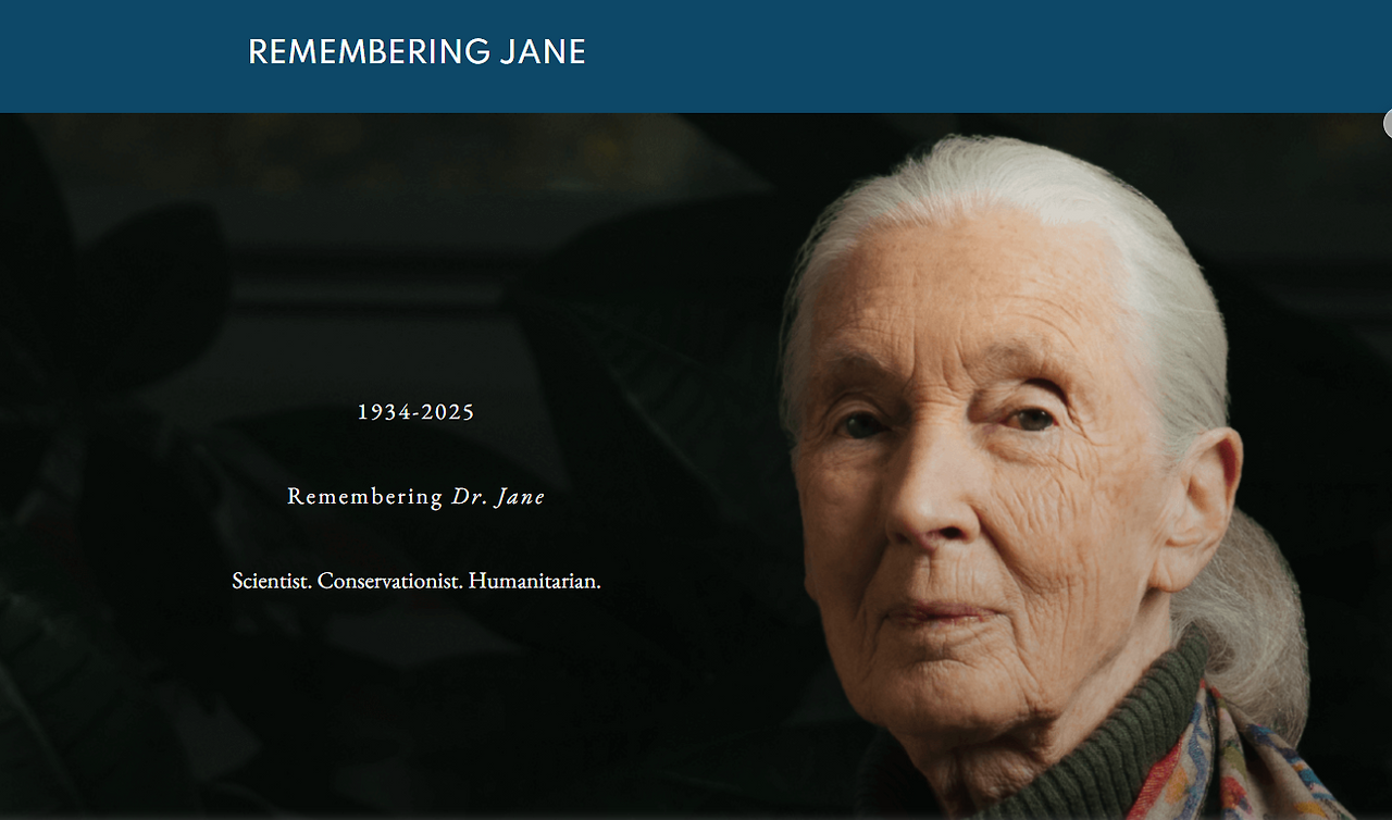 스크린샷 2025-10-05 235513.png