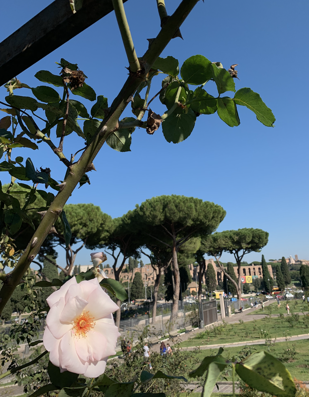 Screenshot 2019-11-07 at 23.54.06.png