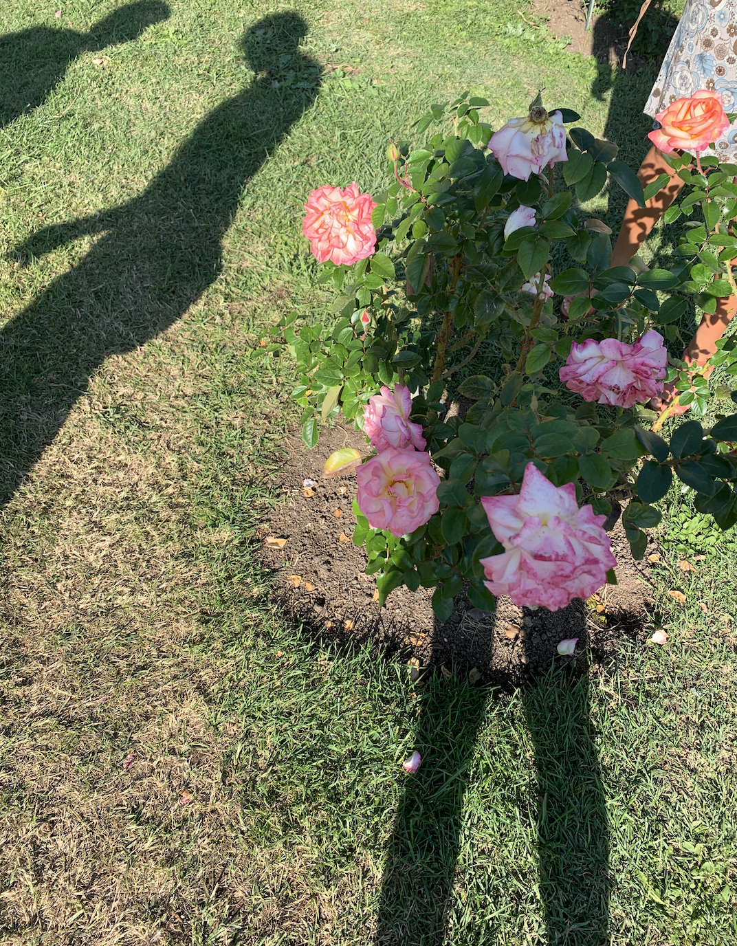 Screenshot 2019-11-07 at 23.39.15.png