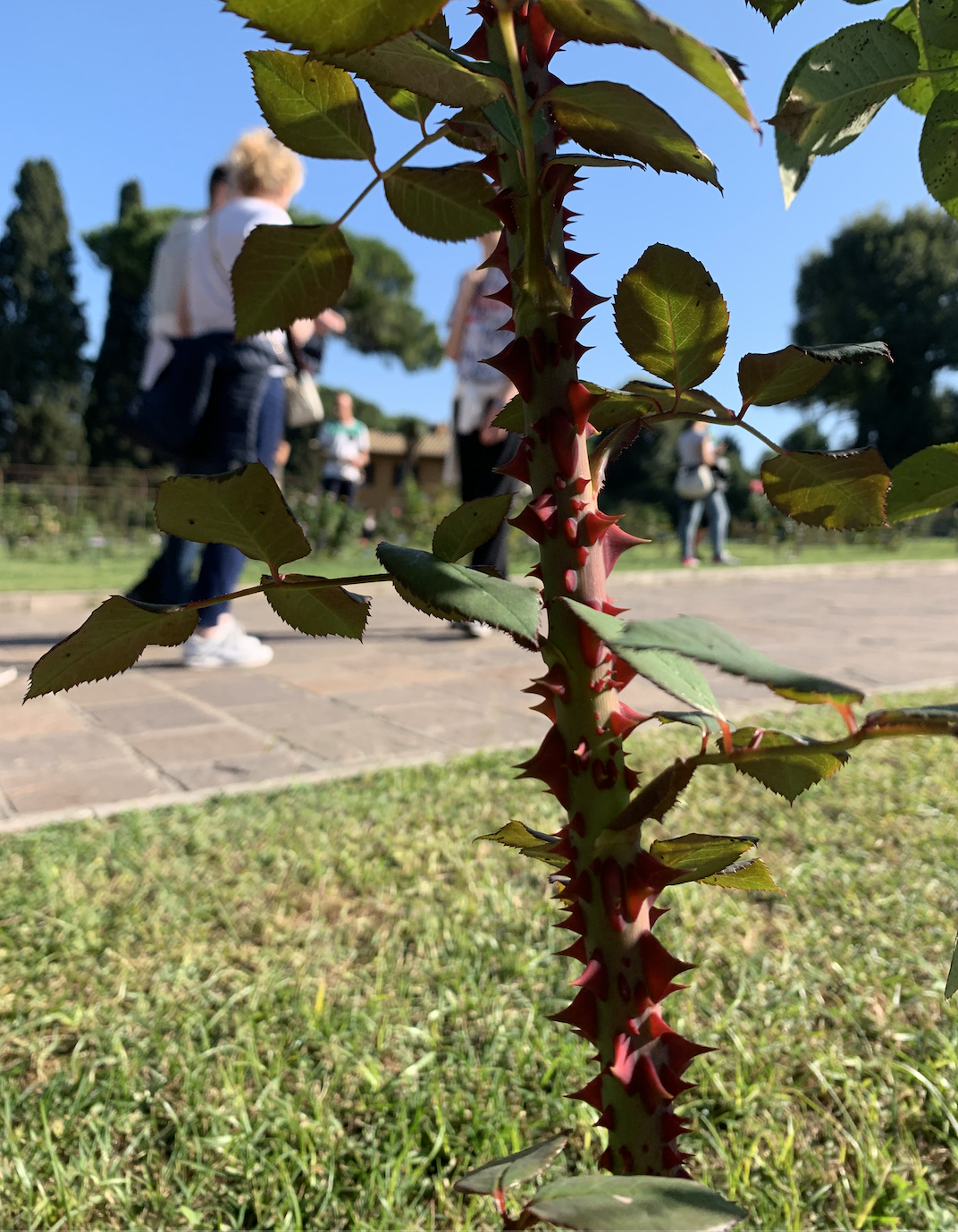 Screenshot 2019-11-07 at 23.38.53.png