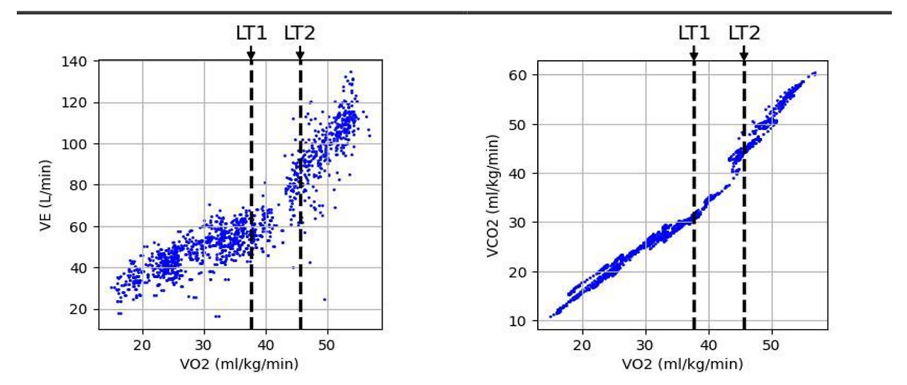 스크린샷 2024-12-11 오후 6.58.41.png