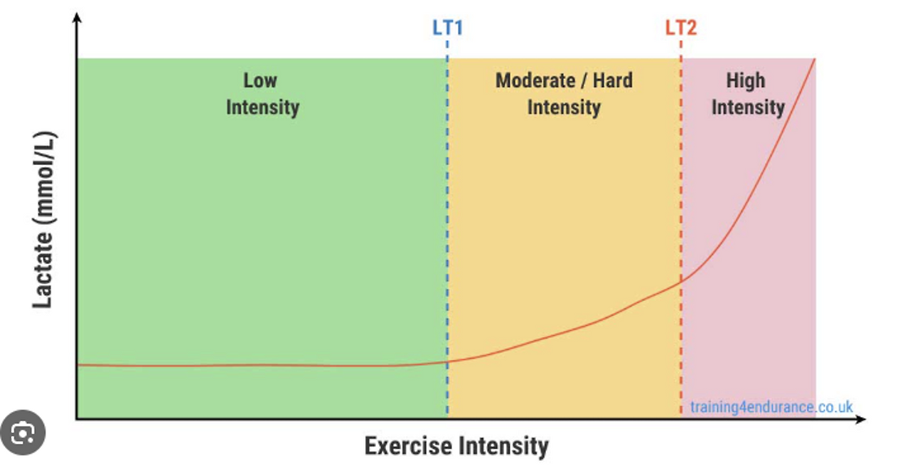 스크린샷 2024-12-11 오후 7.00.26.png