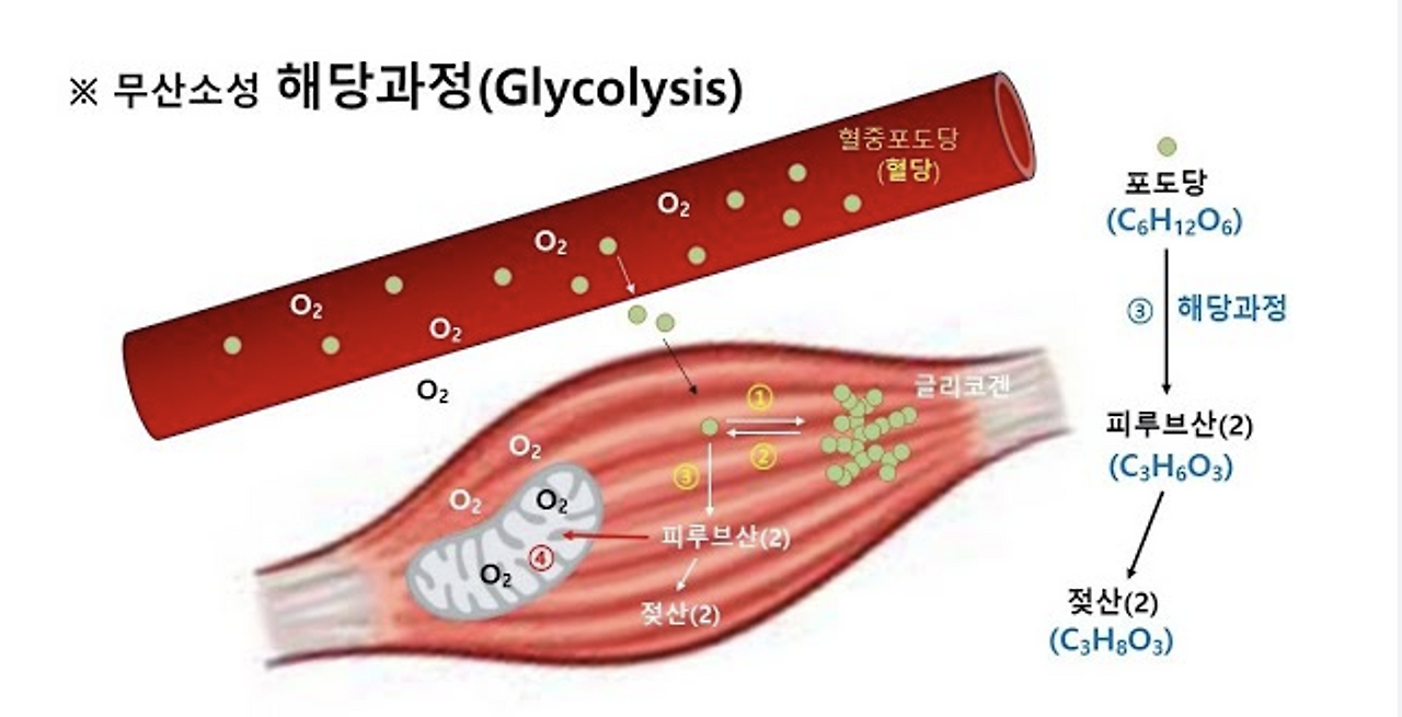 스크린샷 2024-12-11 오후 7.00.07.png