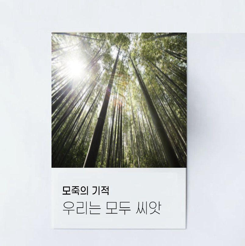 스크린샷 2022-06-01 오후 3.51.19.png