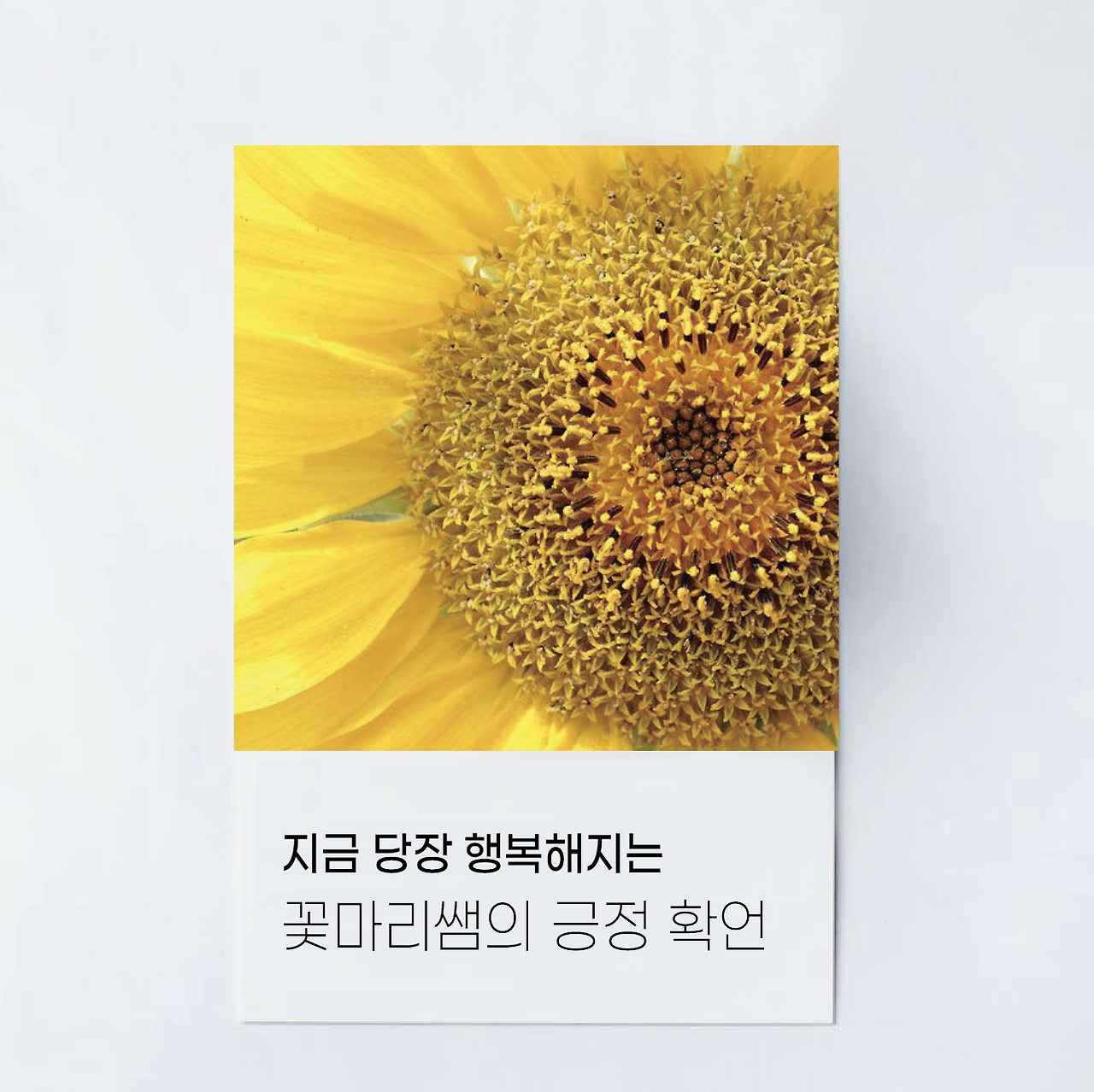 스크린샷 2022-06-07 오후 11.09.48.png