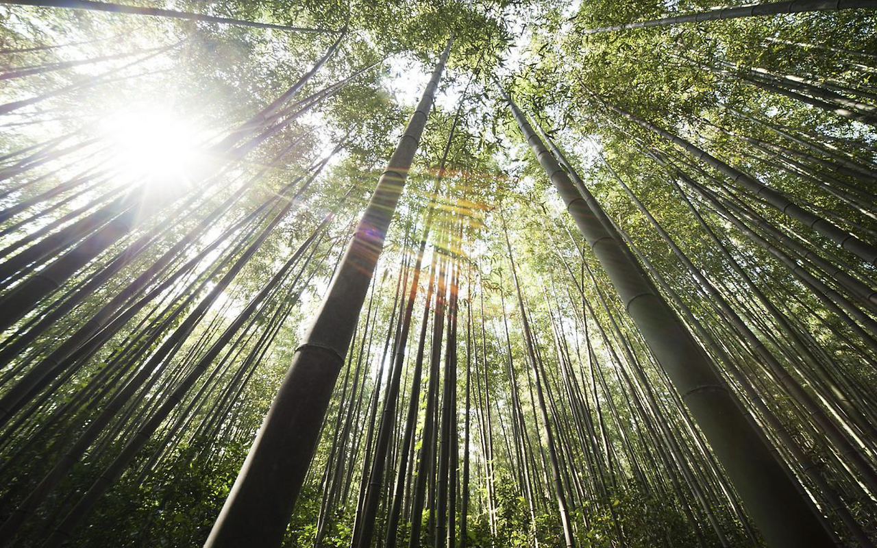 스크린샷 2022-05-29 오전 11.18.32.png