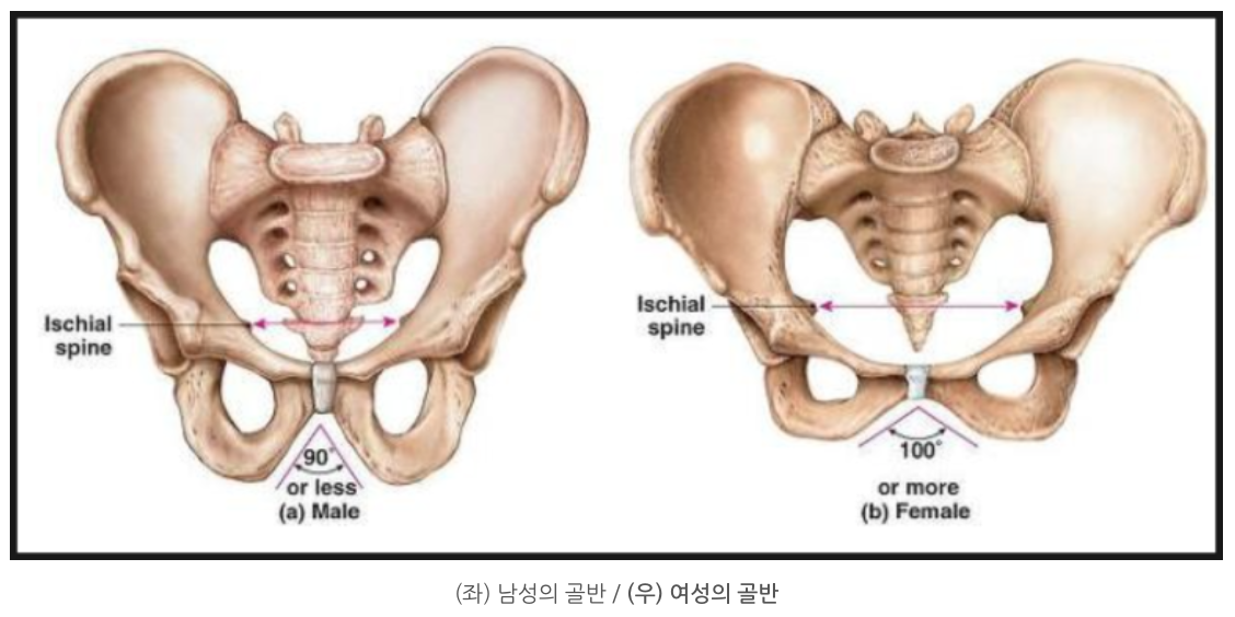 스크린샷 2022-06-08 16.05.24.png