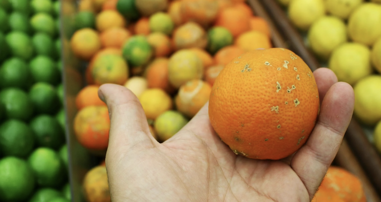 Screenshot 2024-10-05 at 11.39.07 PM.png