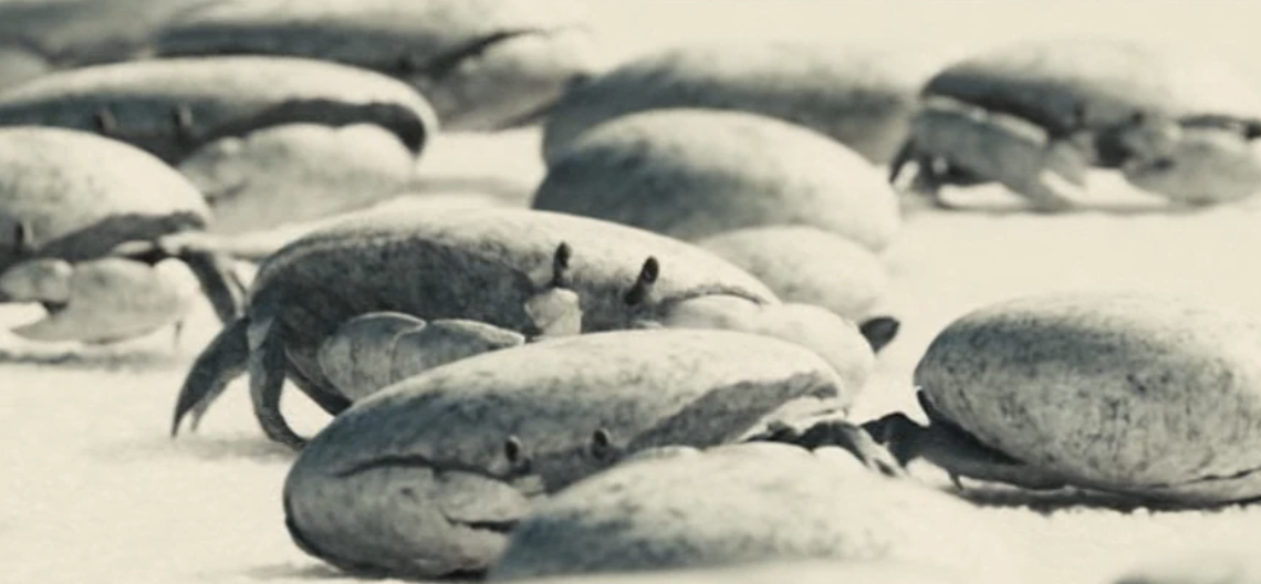 Screenshot 2024-01-08 at 2.13.22 pm.png