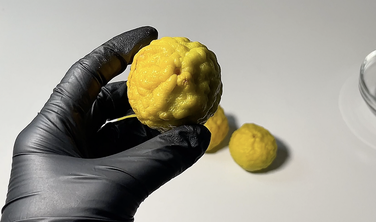 Screenshot 2024-08-11 at 2.14.09 PM.png