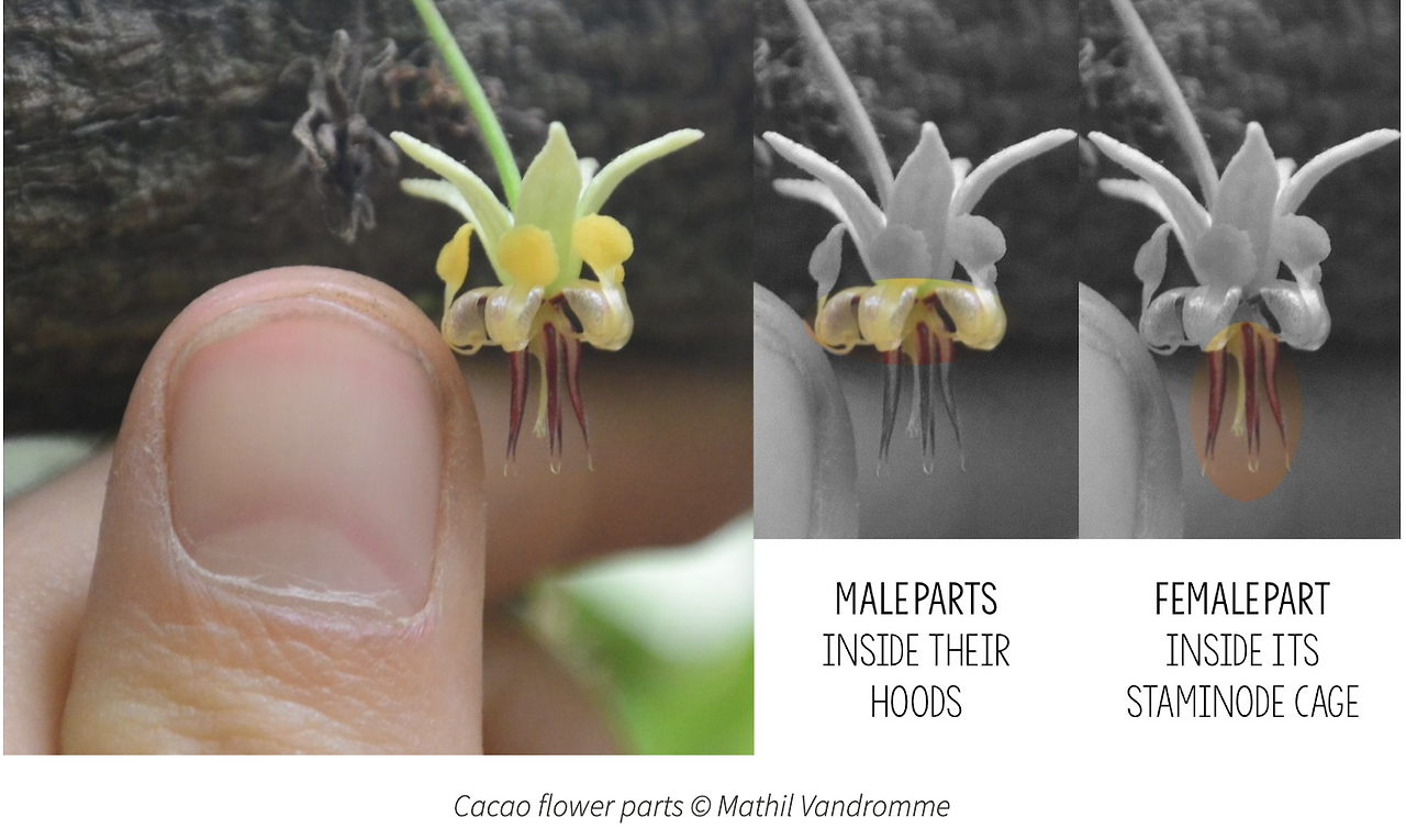 Screenshot 2023-12-21 at 7.27.13 pm.png