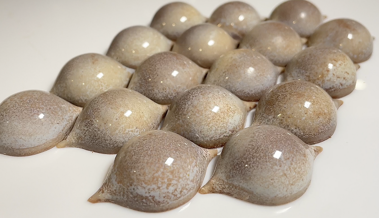 Screenshot 2023-10-08 at 12.03.10 pm.png