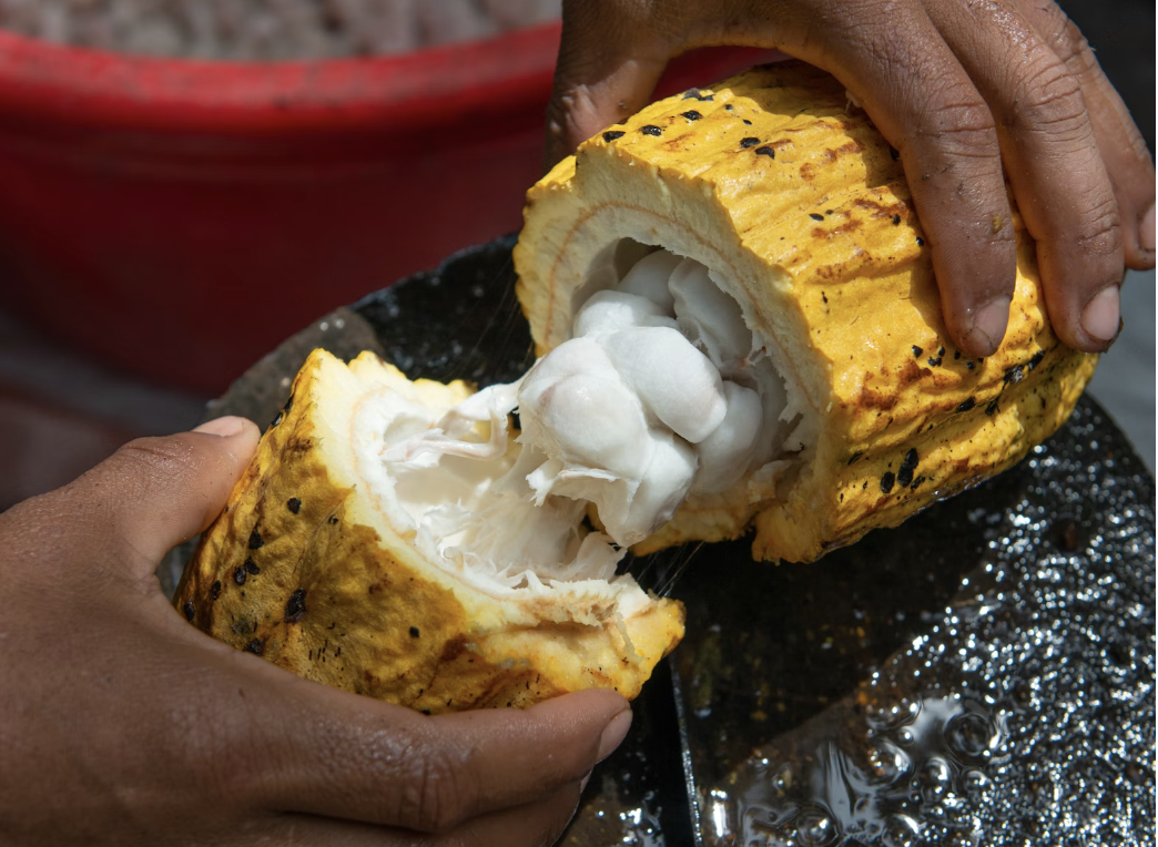 Screenshot 2024-02-06 at 9.17.41 pm.png