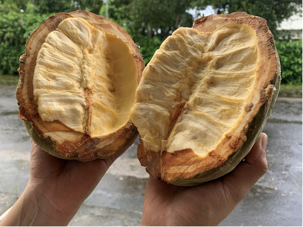 Screenshot 2024-01-08 at 2.10.40 pm.png