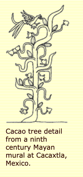 Screenshot 2023-12-19 at 10.40.33 am.png