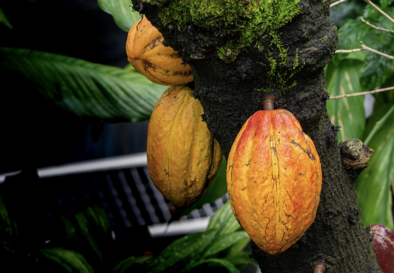 Screenshot 2024-01-08 at 12.39.44 pm.png