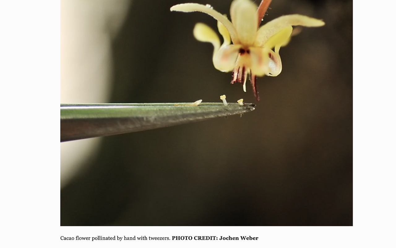 Screenshot 2023-12-21 at 7.55.10 pm.png