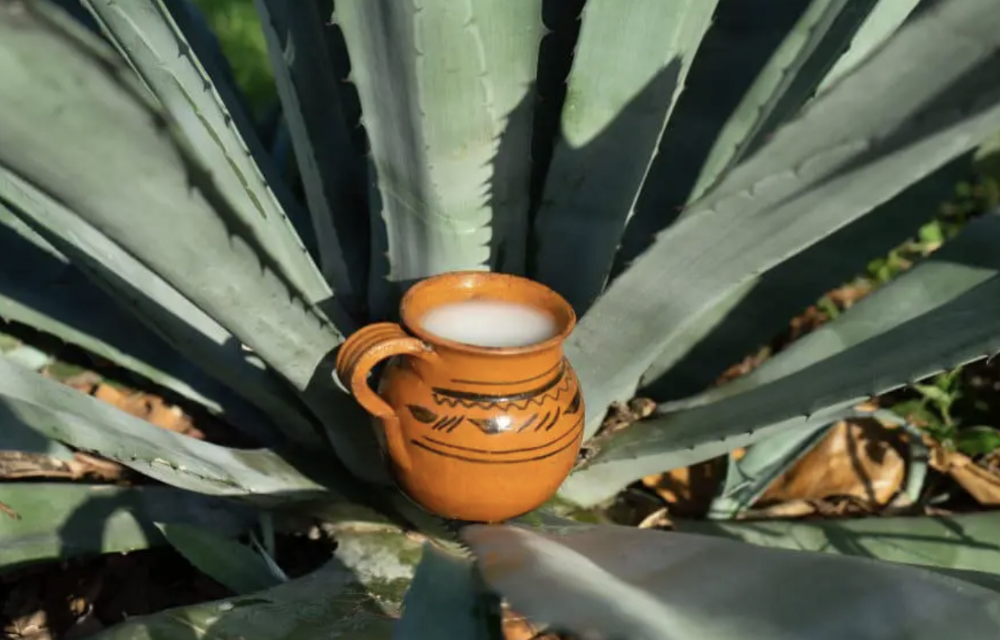 Screenshot 2024-01-08 at 12.43.44 pm.png