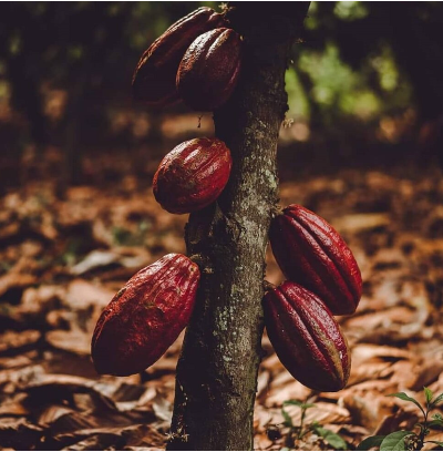 Screenshot 2024-01-17 at 8.27.56 pm.png