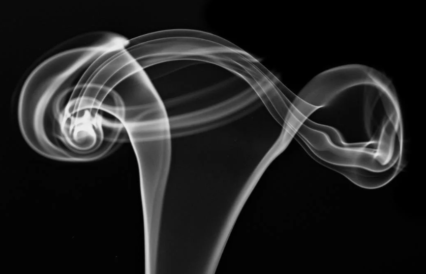 Screenshot 2023-12-11 at 7.36.17 pm.png