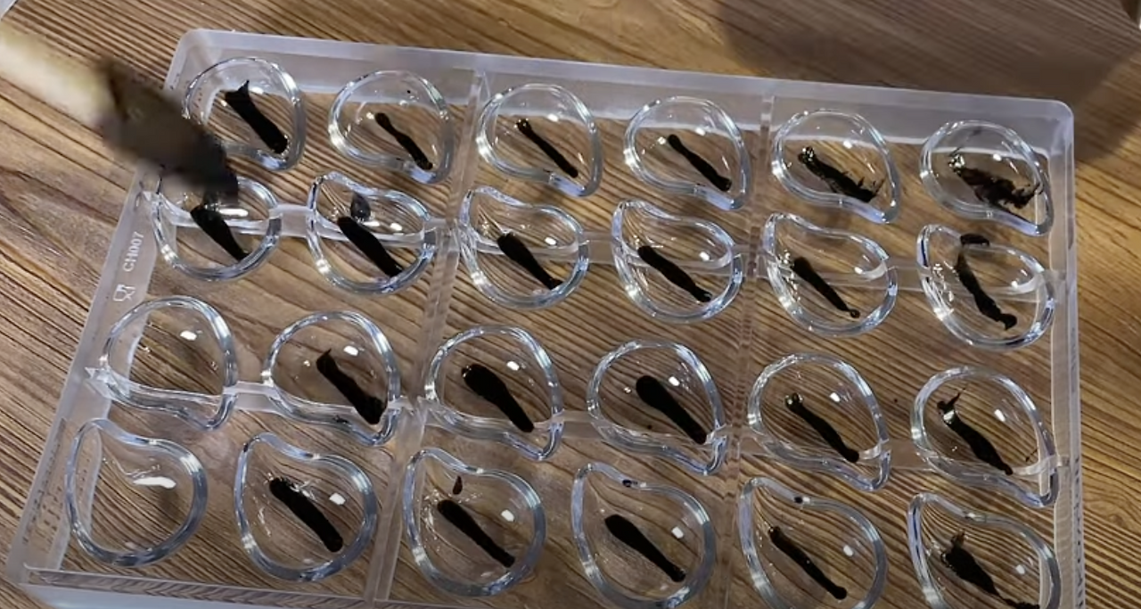 Screenshot 2023-07-26 at 8.47.52 pm.png